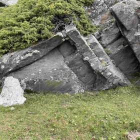 02_fossile_de_maison.jpg